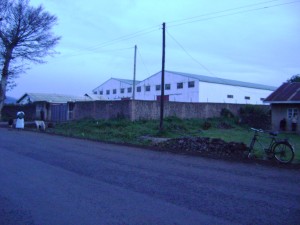 Diary Factory in Kisoro